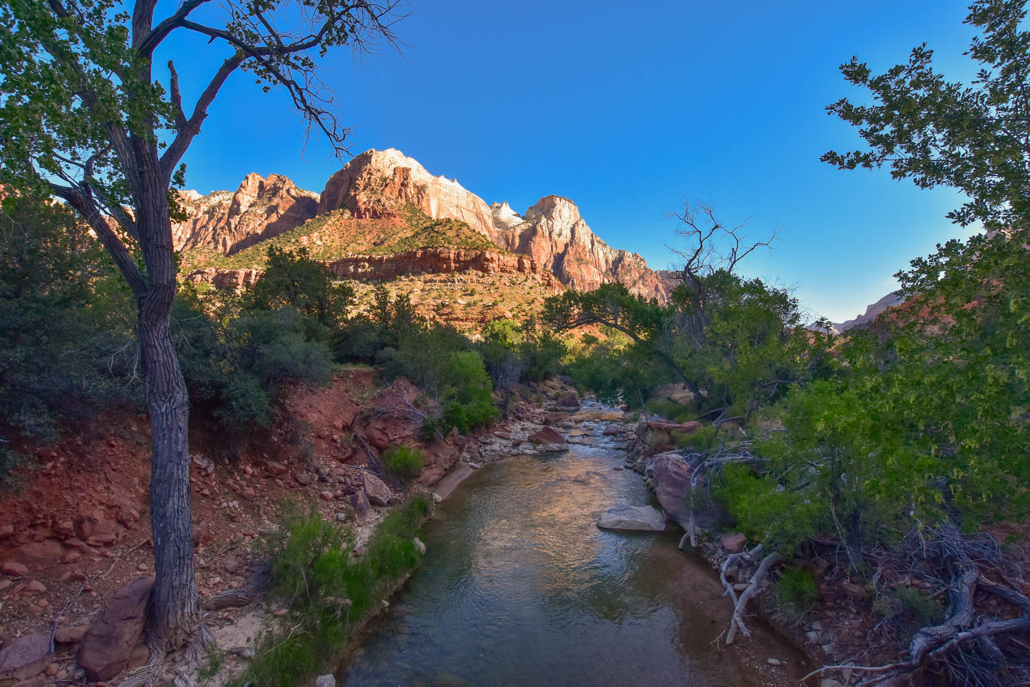 Pa’rus Trail – Zion National Park - Hike St George
