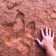 Dinosaur tracks in Southern Utah