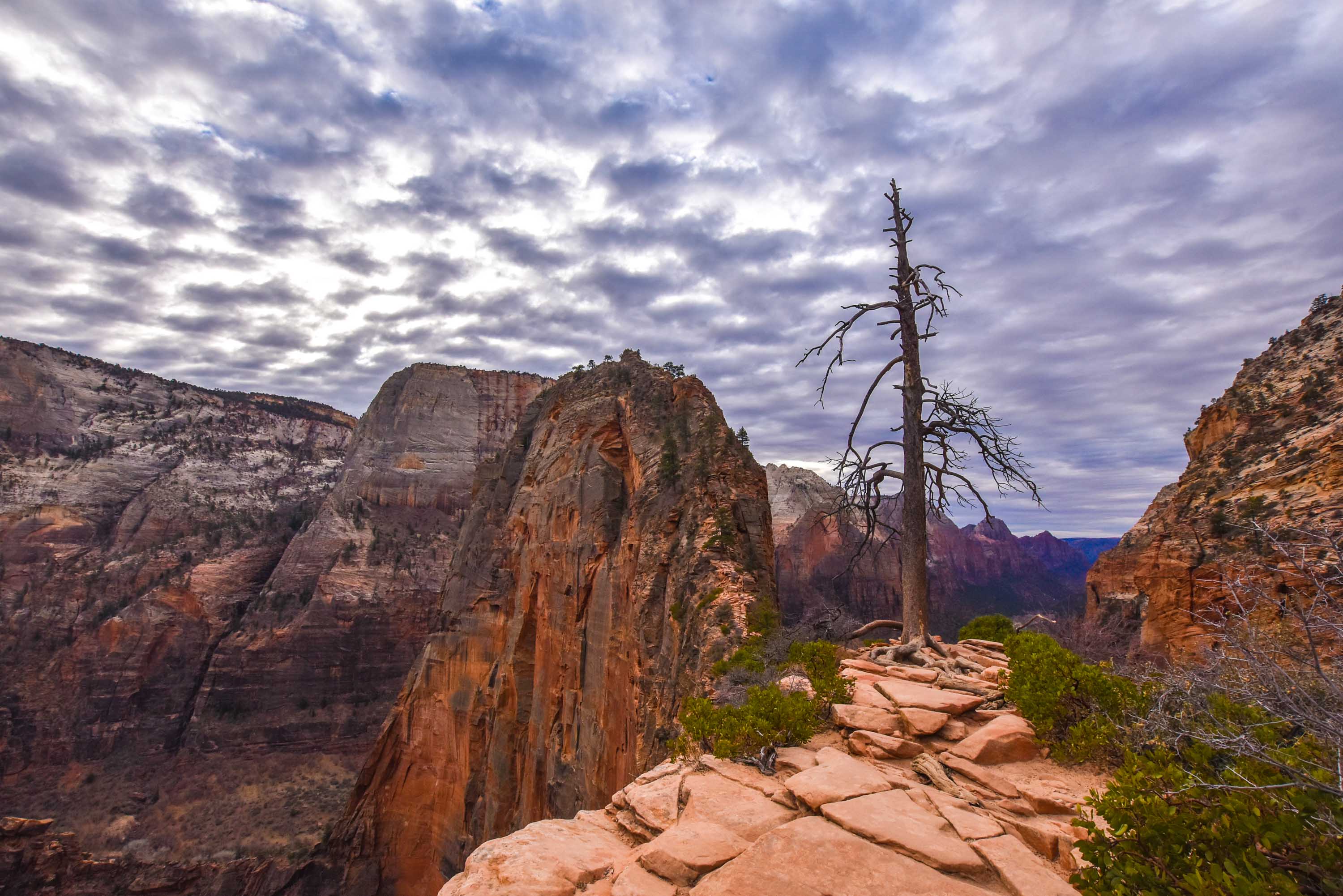 Zion Trails Closed - Other things to do this Labor Day in Southern Utah