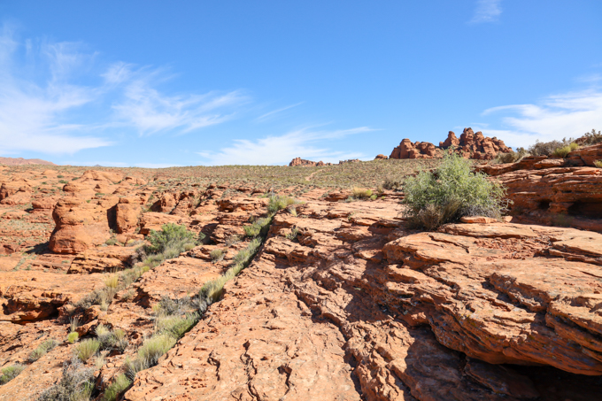 Paradise Rim - Red Cliffs Desert Reserve - Hike St George