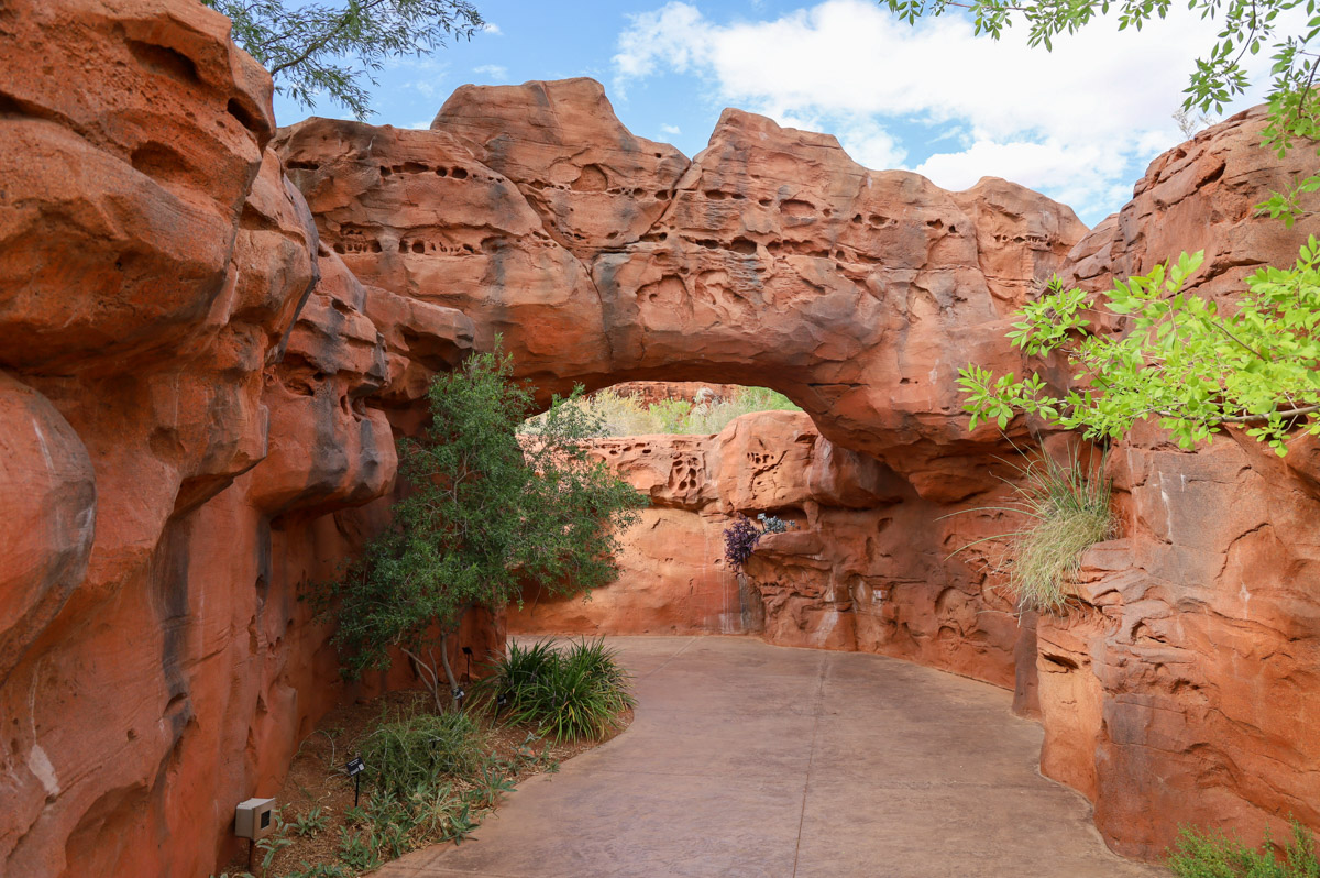 Red Hills Desert Garden - Hike St George
